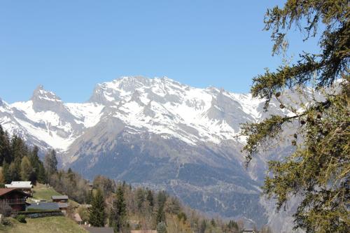 Φωτογραφία από το άλμπουμ του La Tzoumaz Lodge σε La Tzoumaz