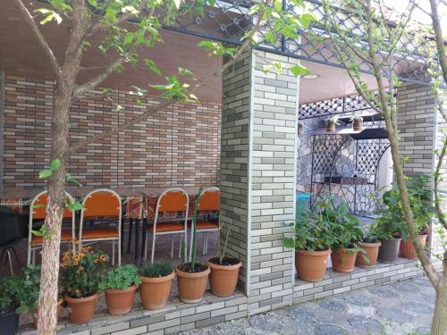 a group of plants in pots on a brick wall at Ferion in Sheki