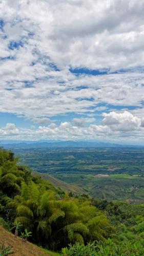 a view from the top of a hill with trees at La Font Ecolodge in Buenavista