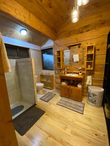 a bathroom with a shower and a toilet and a sink at Cabañas Emerald Forest in Concepción