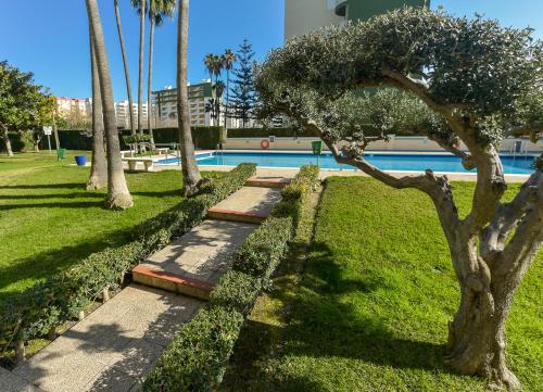 einen Garten mit Bäumen und einem Pool in der Unterkunft Apartamentos Marblau Varios 1, 2 y 3 dormitorios - Julio y Agosto SOLO FAMILIAS in Playa de Gandia