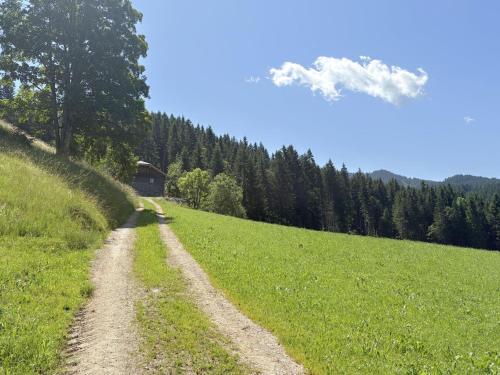 a dirt road in the middle of a field at Chalet Schipplbadstube by Interhome in Annaberg im Lammertal