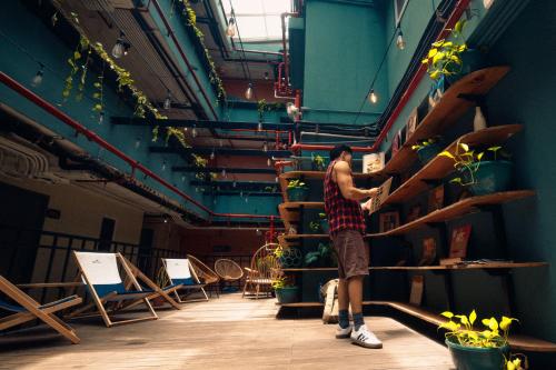 a man standing on a shelf in a room with potted plants at Viajero Casco Viejo Hostel in Panama City