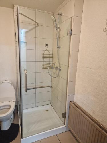 a bathroom with a shower and a toilet at Hafnargata 44 Keflavík 230 in Keflavík