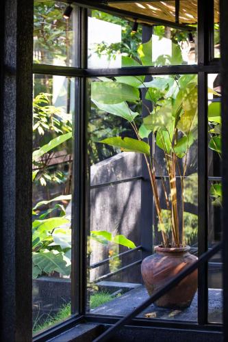 a window with a plant in a vase next to it at Sumba Lodge in Manuel Antonio
