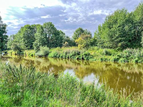 a river with grass and trees in the background at Holiday Home Ferienhaus Inge & Henry an der Werra by Interhome in Altenburschla