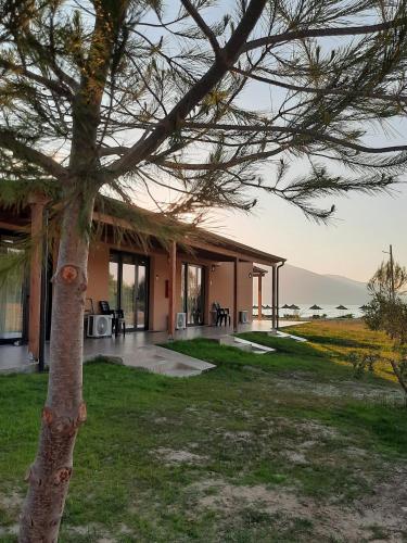 a house with a tree in front of it at Nettuno Resort Orikum in Orikum