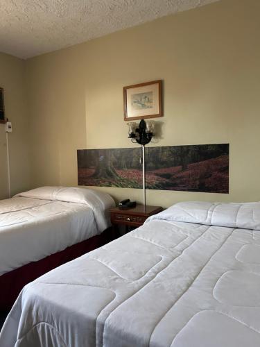 Postel nebo postele na pokoji v ubytování LA SIESTA-Hotel