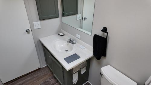 a bathroom with a sink and a toilet at Faith short term rental in Romulus