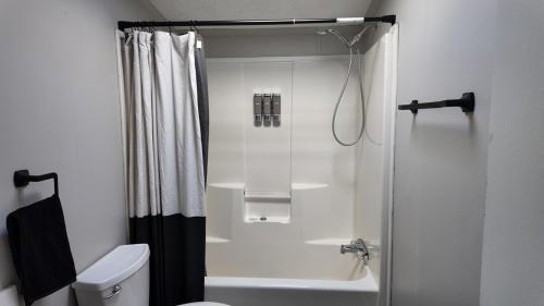 a bathroom with a shower and a toilet at Faith short term rental in Romulus