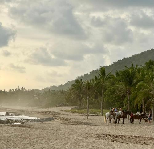 un grupo de personas montando a caballo en la playa en El Nido, Riad San Cristobal, en Troncones