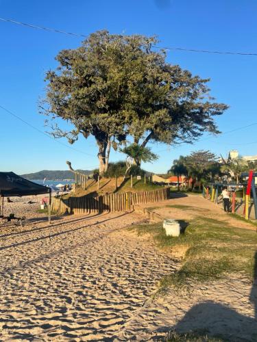 a tree on a sandy beach with a fence and a tree at Residencial Nicole in Florianópolis