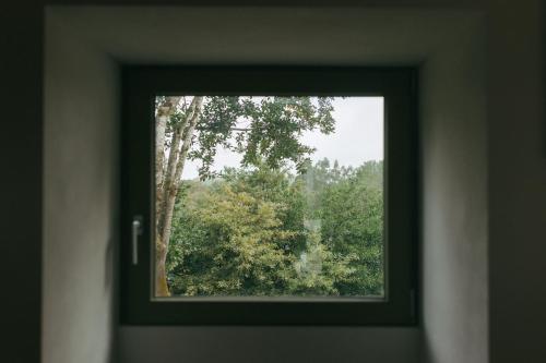a window in a door looking at a tree at Casa da Fonte de Cima in Celorico de Basto