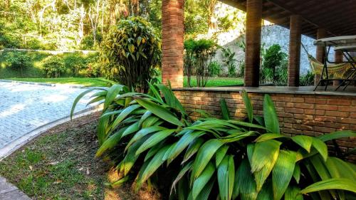 a plant in front of a house with a brick wall at Pousada Reserva Gran Descanso in Embu