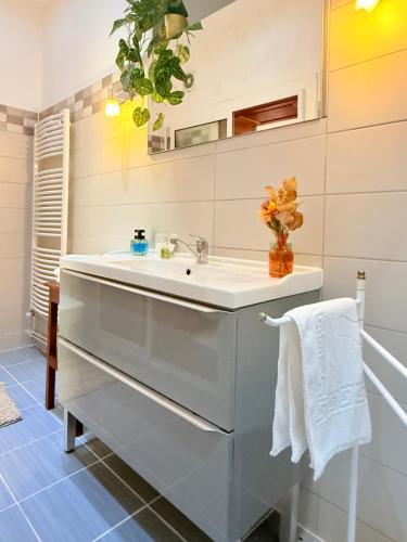 un baño con lavabo y espejo en Charme Boutique Old Town, en Brasov