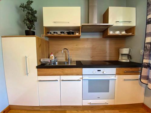 Η κουζίνα ή μικρή κουζίνα στο Apartamenty u Basi