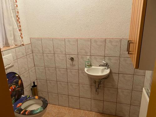 a bathroom with a sink and a toilet at Biohof Kroisleitner Ferienwohnung Abendsonne 
