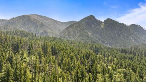a forest of trees with mountains in the background at Mountain-View Retreat with Hot Tub & Waterfalls in Cascade Locks