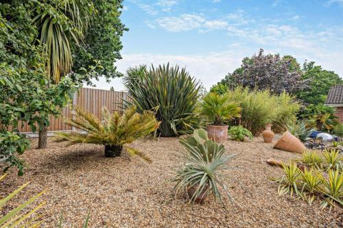 a garden with many different types of plants at The Palms in Brundall