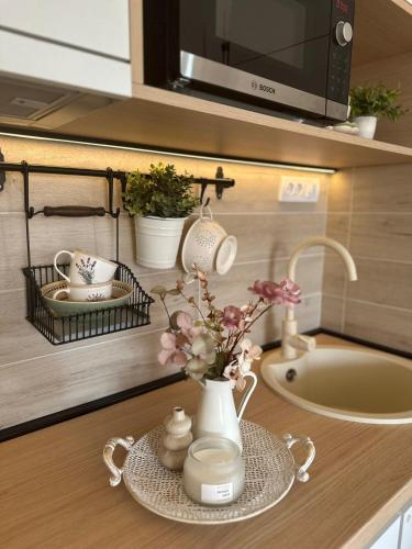 セルビアディヴツィバレにあるDorin Kutak, Green Hills Divčibareの花瓶と洗面台付きのバスルームカウンター