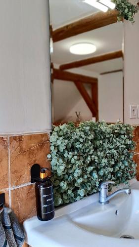 a bathroom sink with a green plant on the wall at hostinec Thérése in Petrovice