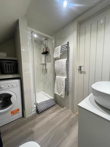 a bathroom with a washing machine and a sink at One Bedroom Flat near Bosham & Goodwood in Funtington