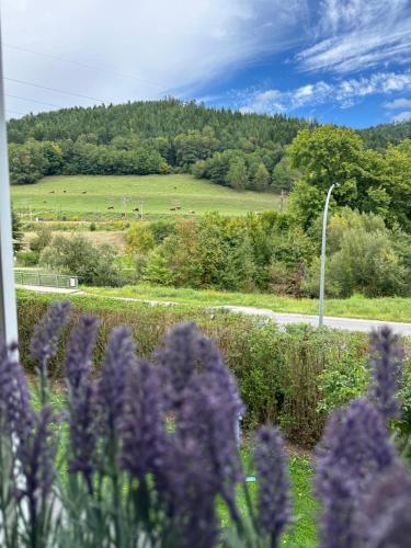 a field of purple flowers with a road in the background at Chloe's Apartments in Gloggnitz