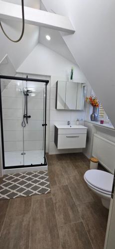 a bathroom with a shower and a toilet at Ferienwohnung Drei Eichen in Wurster Nordseeküste