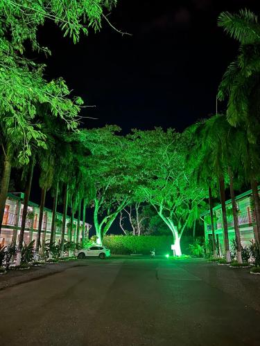 a car parked on a street with trees at night at Hostería Horizontes in Caucasia