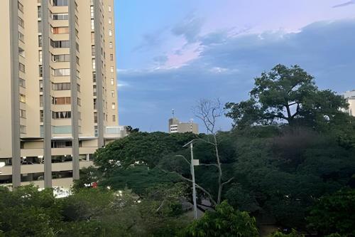a view of two tall buildings and trees in a city at 303 Espectacular Apartamento en granada in Cali