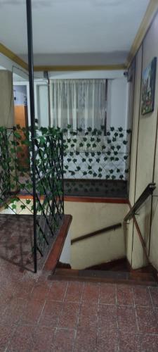 a building with a window with a bunch of pigeons at Hostal La Caleta in Salta