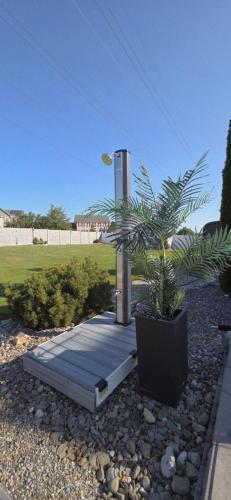 a palm tree sitting on a boardwalk in a yard at Staycation Oasis! a unique Experience! Heated pool open until October 31st in Easton