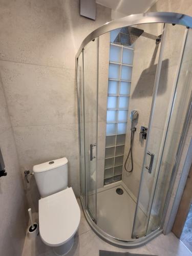 a bathroom with a toilet and a glass shower at Kusfeld in Kuźnica