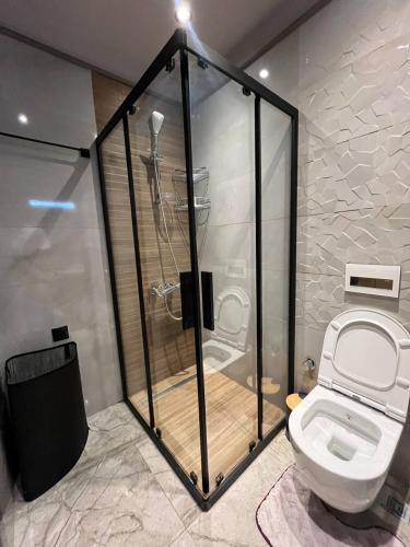 a bathroom with a shower and a toilet at The Diamond In City Luxury Suites By ZENORA Living in Accra