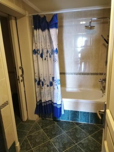a bathroom with a shower and a bath tub at Luxury Sea View Apartment in Four Seasons Alexandria in Alexandria