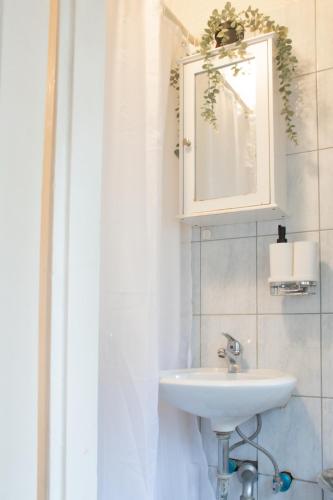 a bathroom with a sink and a mirror at Srebrnjak Condo in Zagreb