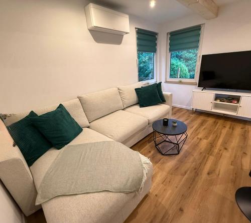 a living room with a couch and a flat screen tv at Ferienhaus im Grünen - Entspannen mit Alpakas in Treuen