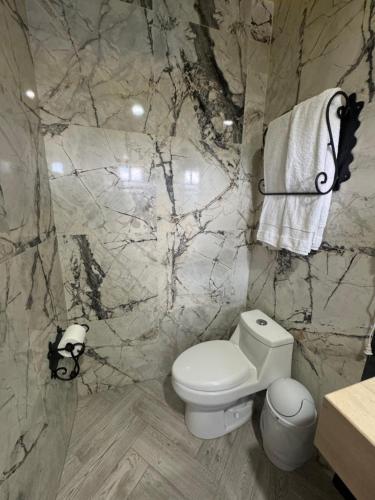 a bathroom with a white toilet and a marble wall at Hotel Boutique La Casa de María Joyita in Aguascalientes