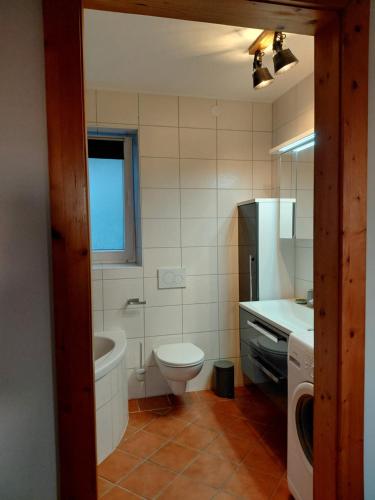 a bathroom with a toilet and a sink at Wohnung im ländlichen Flair in Bad Zell