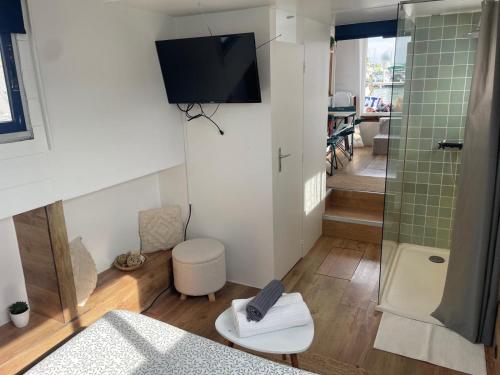 ボルドーにあるPénichette cosy bassins à flots, proche de la cité du vinのバスルーム(シャワー、トイレ付)、テレビが備わります。