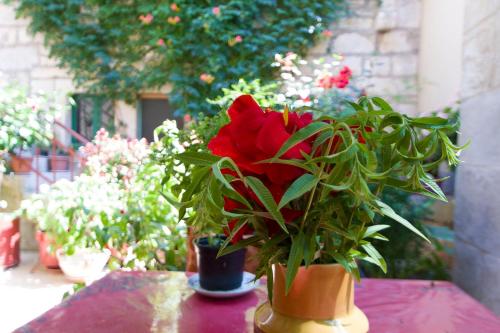 a vase with a red flower on a table at Sobe Andreis in Vela Luka