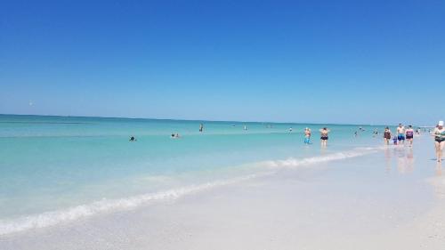 a group of people walking on the beach at Entire Siesta Key Beach House - 6 BR, Pool & Ocean Access in Siesta Key