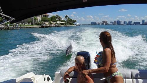 a woman and a dolphin in the water on a boat at Entire Siesta Key Beach House - 6 BR, Pool & Ocean Access in Siesta Key