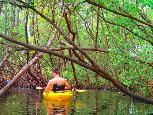 a man in a yellow kayak in a river at Entire Siesta Key Beach House - 6 BR, Pool & Ocean Access in Siesta Key