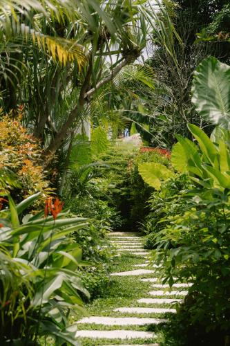 a walkway in a garden with plants and trees at Ananda House in El Nido