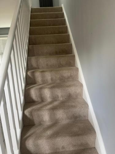 a staircase with brown carpet in a house at Northolt Place in Northolt