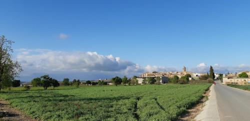 a field of grass next to a road at Cal Belló Casa rural in Lleida
