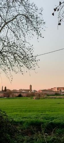 a field of green grass with a town in the background at Cal Belló Casa rural in Lleida