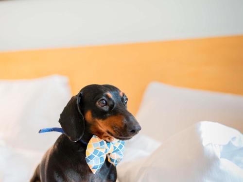 a dog wearing a bow tie sitting on a bed at ibis Heilbronn City in Heilbronn