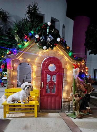 a dog sitting on a bench in front of a gingerbread house at Hotel Hacienda del Rio Oaxtepec in Pantitlán